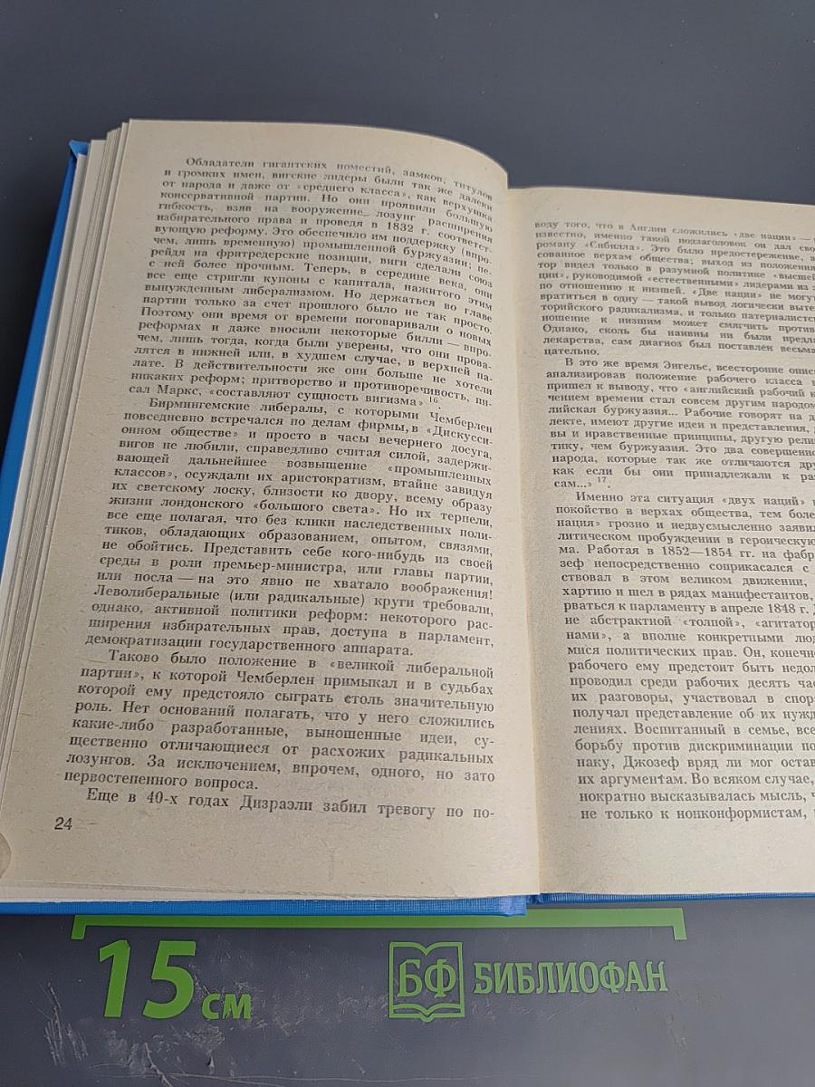 Джозеф Чемберлен и сыновья