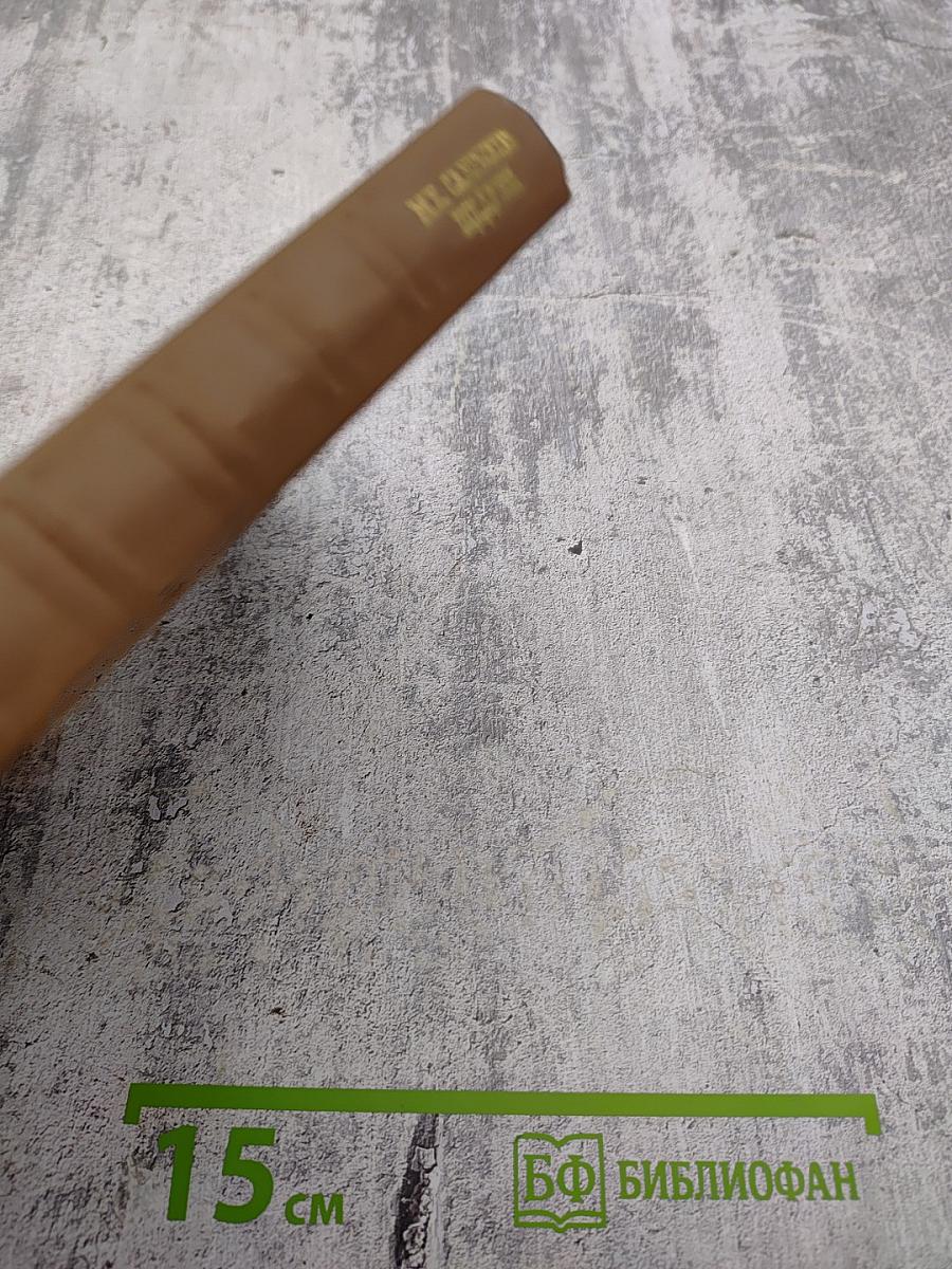 Собрание сочинений. Том девятнадцатый. Книга вторая. Письма (1881-1884)