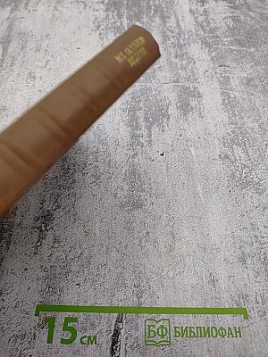 Собрание сочинений. Том девятнадцатый. Книга вторая. Письма (1881-1884)