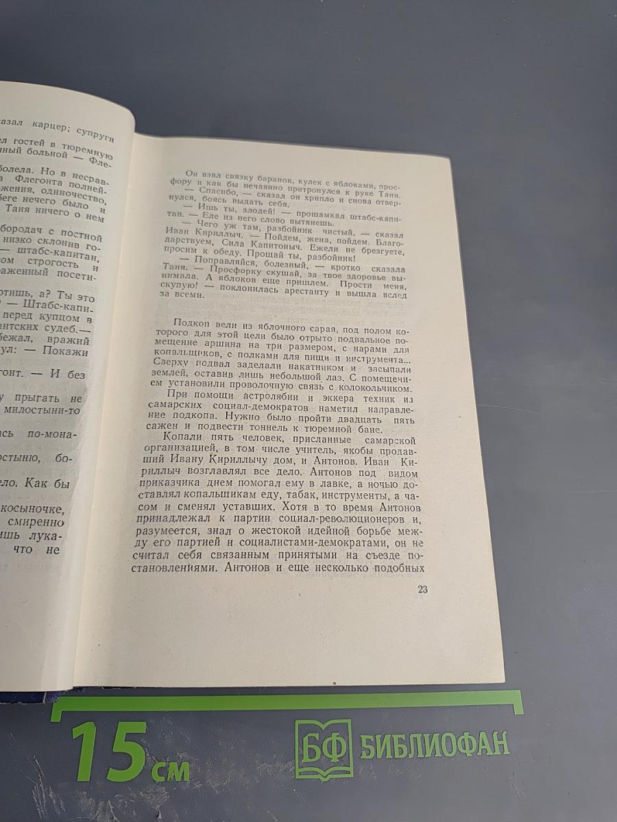 Вечерний звон. Том второй. Предвестники урагана
