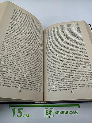 Собрание сочинений. Том пятый: Странствующий подмастерье. Маркиз де Вильмер
