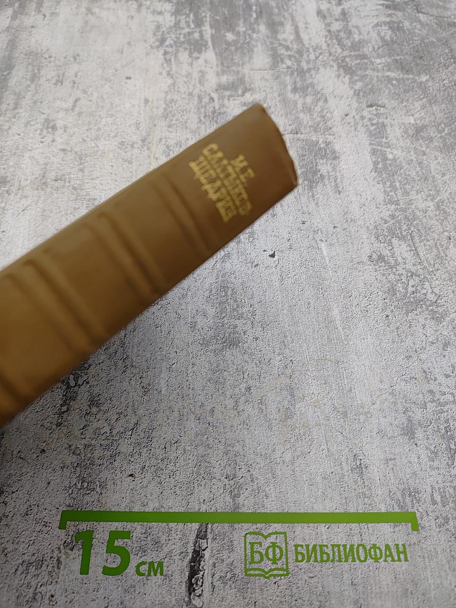 Собрание сочинений. Том девятнадцатый. Книга первая. Сказки. Пестрые письма
