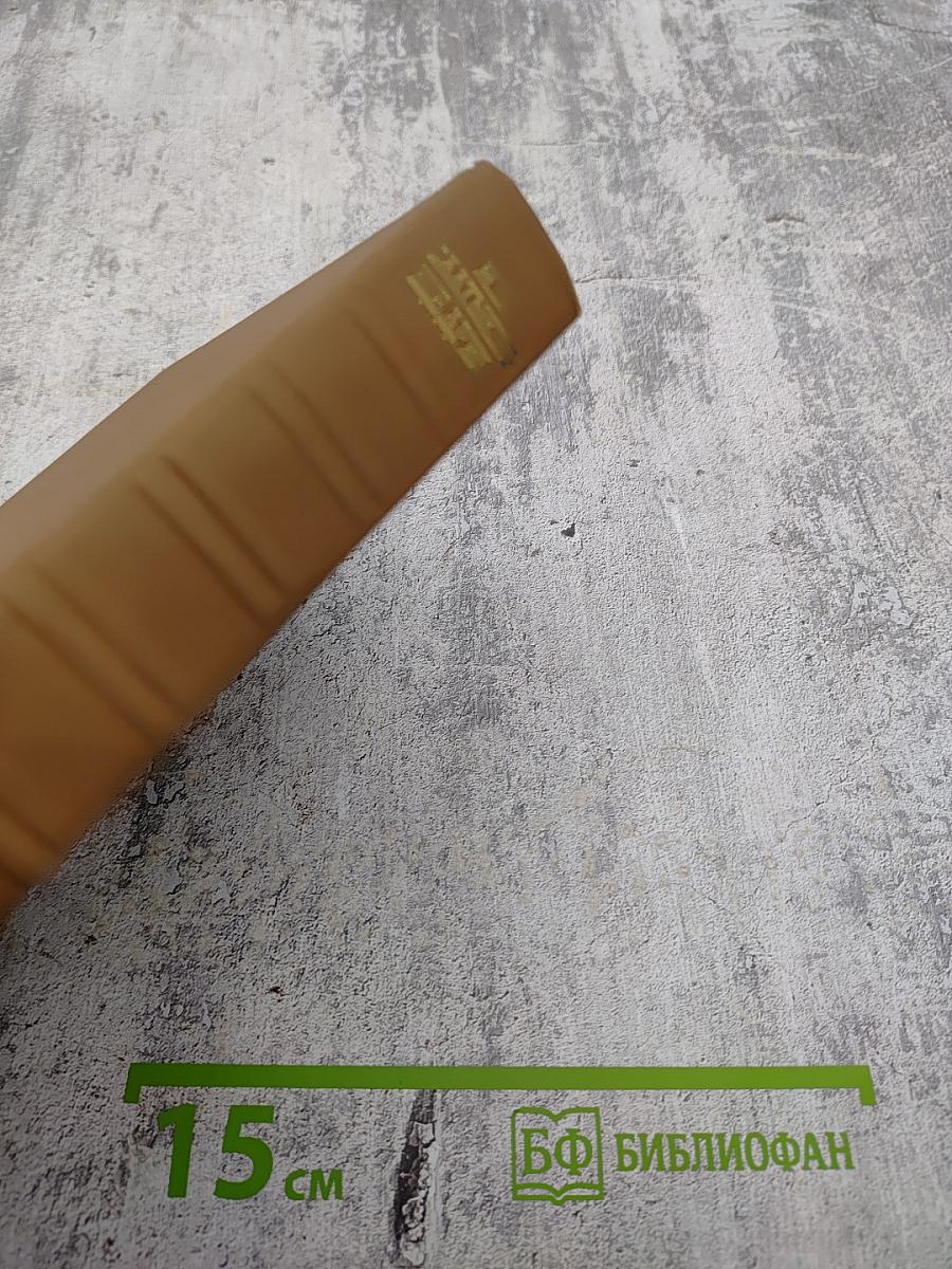 Собрание сочинений. Книга первая. Сказки. Пестрые письма