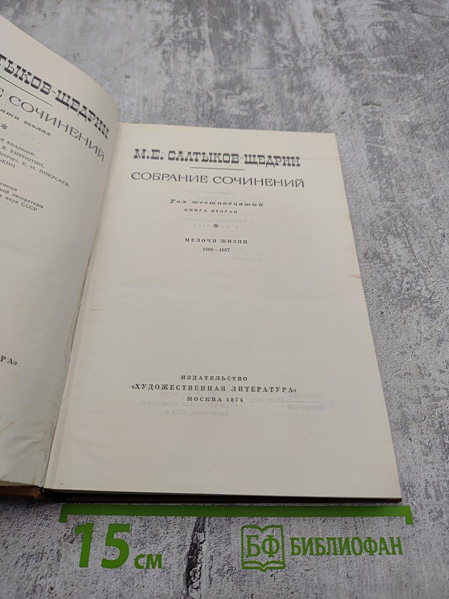 Собрание сочинений. Том шестнадцатый. Мелочи жизни. 1886-1887