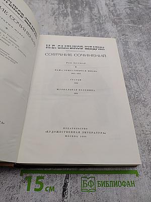Собрание сочинений. Том шестой: Наша общественная жизнь, Статьи, Журнальная полемика