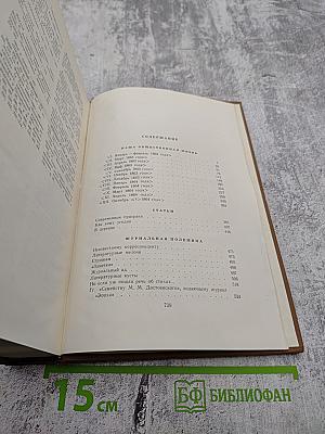 Собрание сочинений. Том шестой: Наша общественная жизнь, Статьи, Журнальная полемика