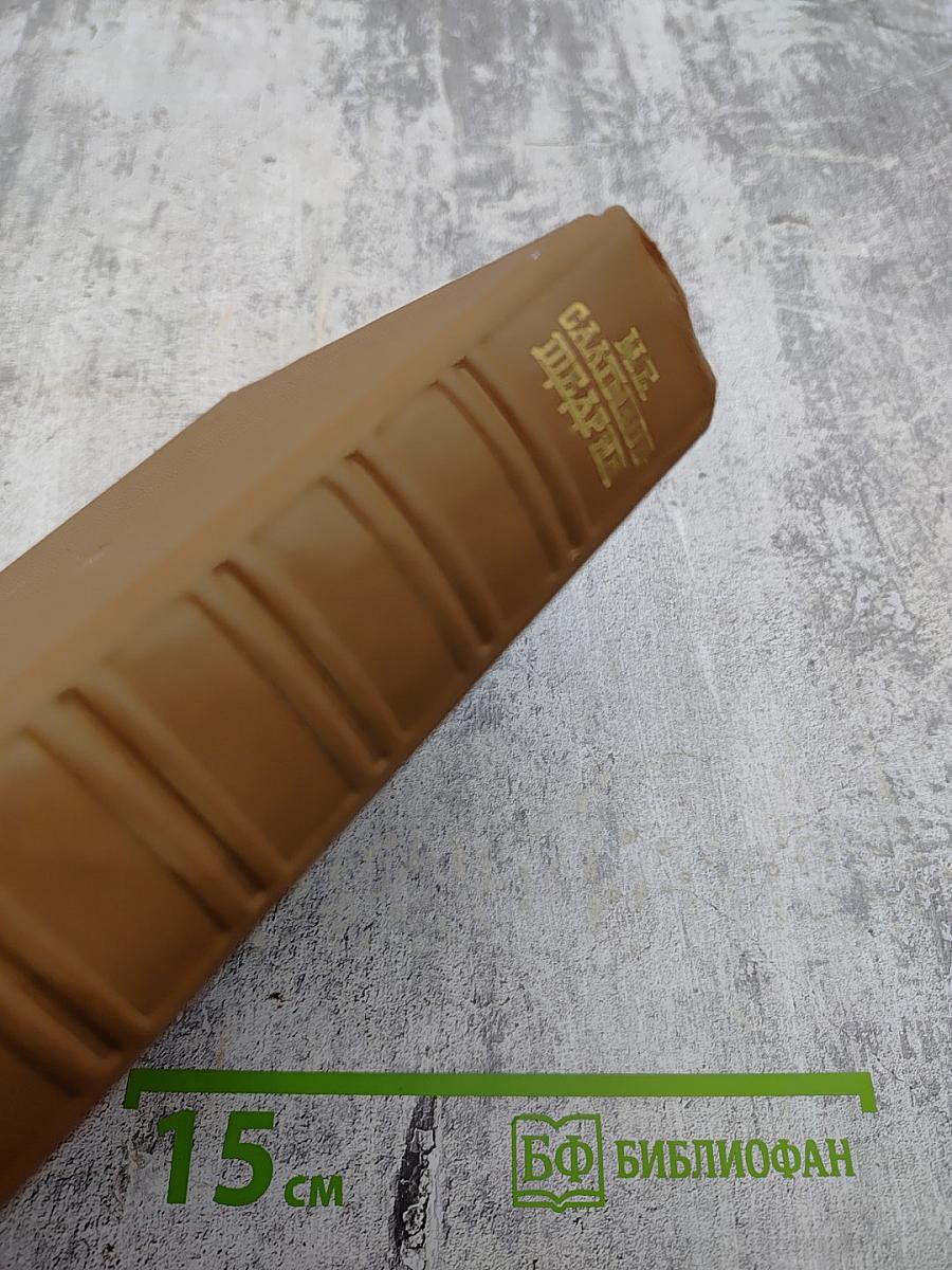 Собрание сочинений. Том шестой: Наша общественная жизнь, Статьи, Журнальная полемика