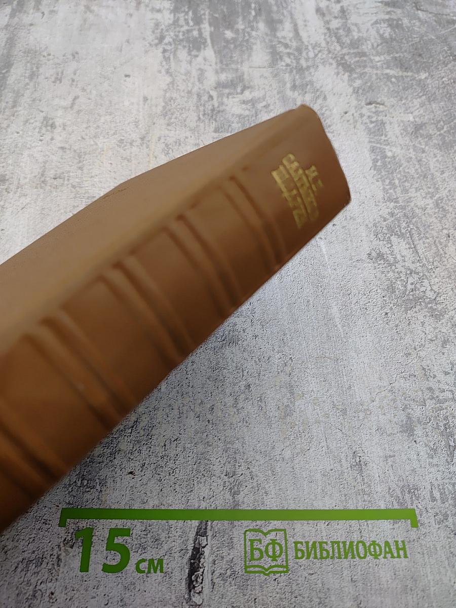 Собрание сочинений. Том пятый. Критика и публицистика 1856-1864