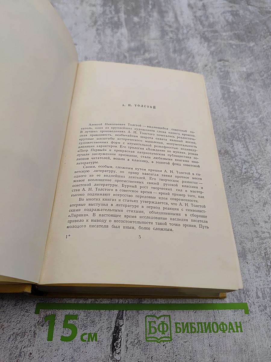 Собрание сочинений. Том первый: Повести и рассказы 1908-1911, Чудаки