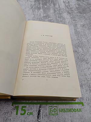 Собрание сочинений. Том первый: Повести и рассказы 1908-1911, Чудаки