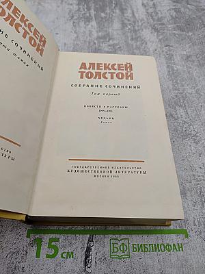 Собрание сочинений. Том первый: Повести и рассказы 1908-1911, Чудаки