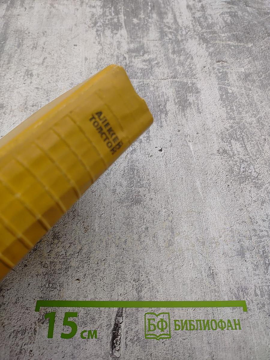 Собрание сочинений. Том первый: Повести и рассказы 1908-1911, Чудаки