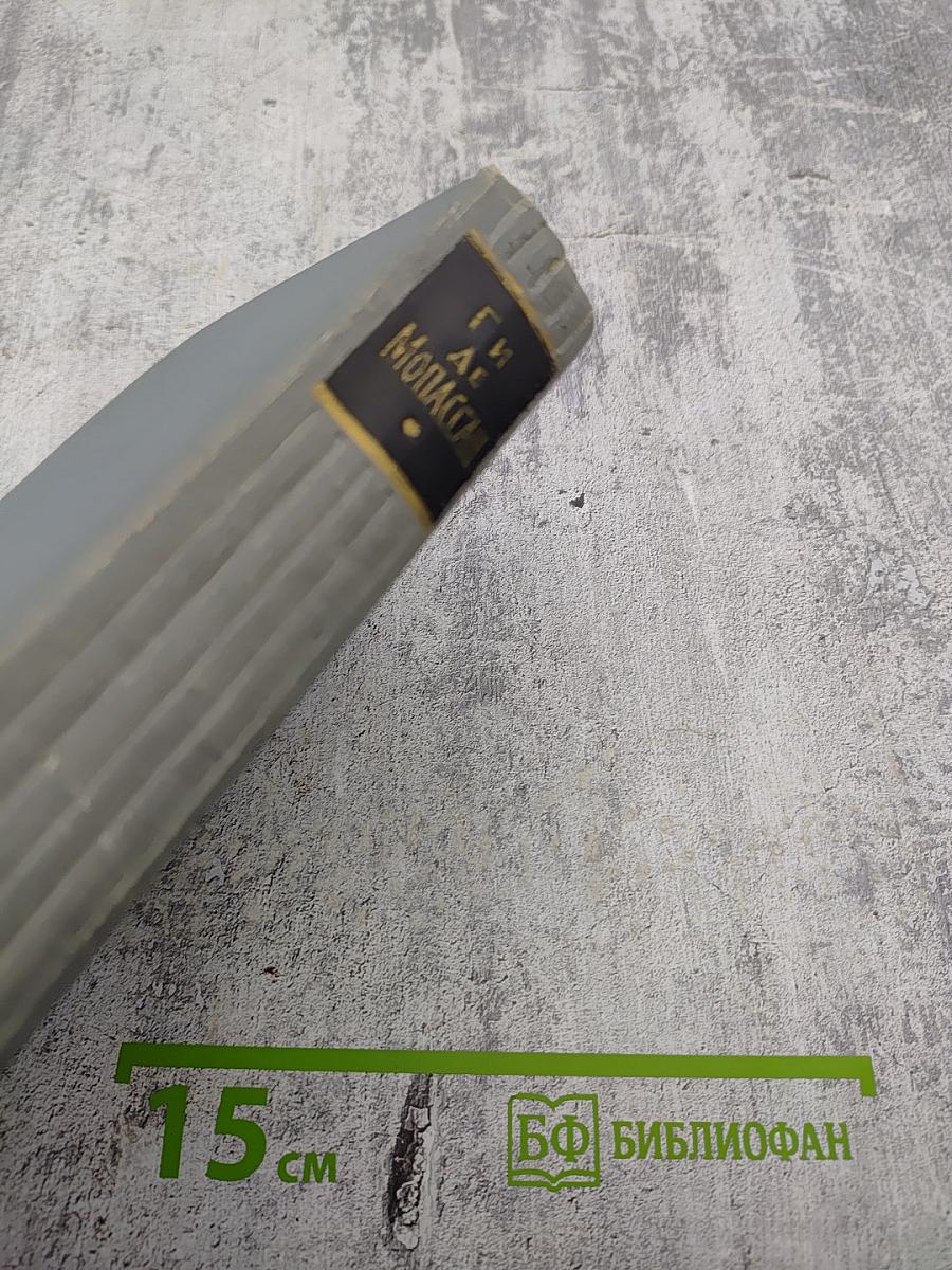 Ги де Мопассан. Пьер и Жан