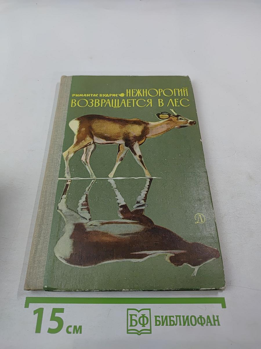 Нежнорогий возвращается в лес