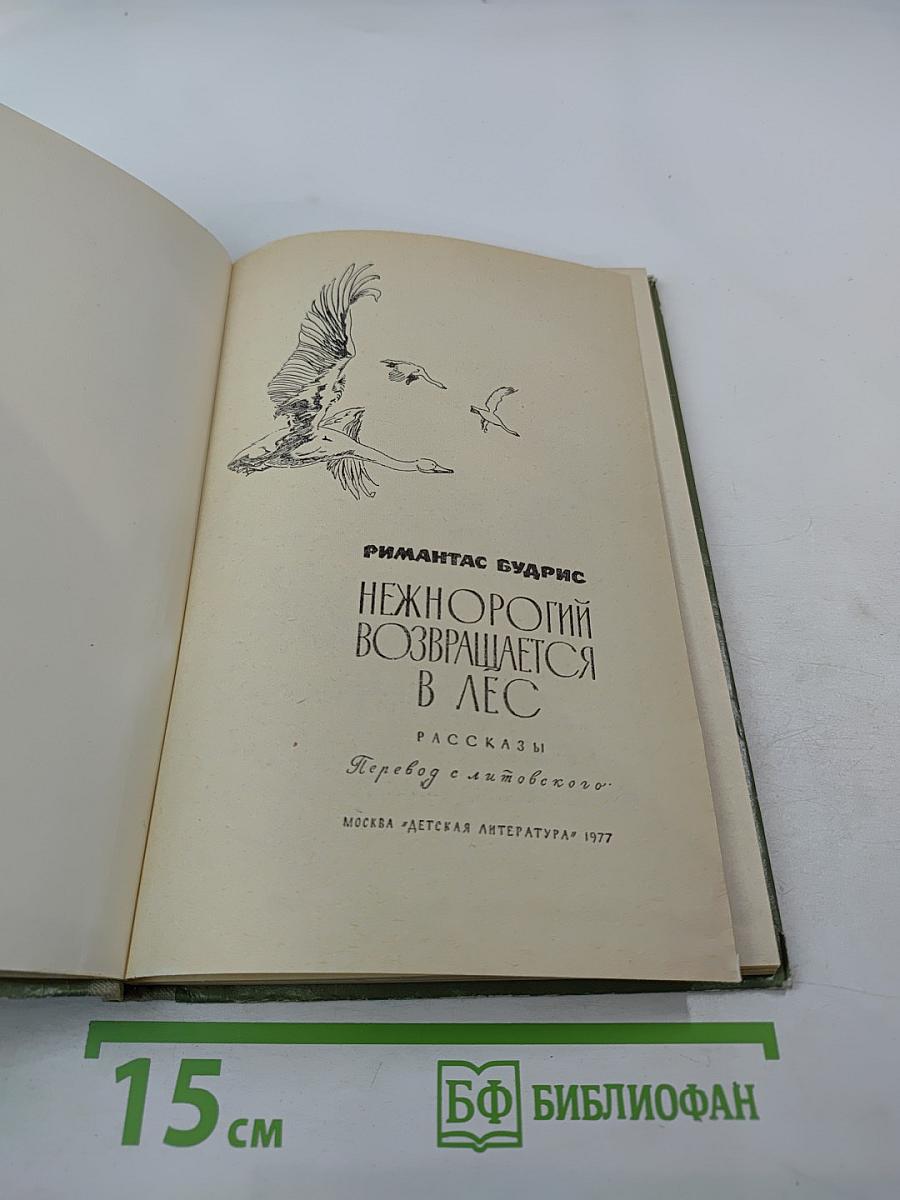 Нежнорогий возвращается в лес