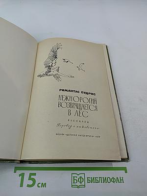 Нежнорогий возвращается в лес