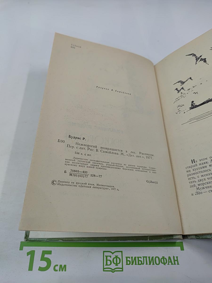 Нежнорогий возвращается в лес