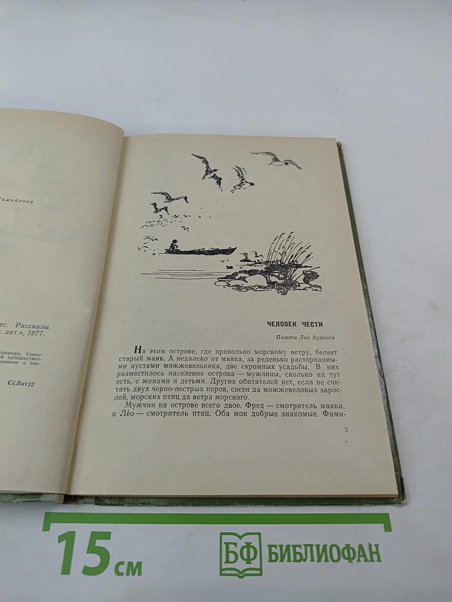 Нежнорогий возвращается в лес