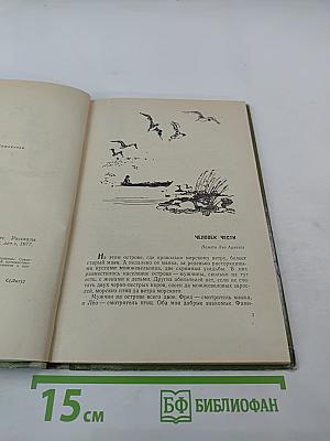 Нежнорогий возвращается в лес