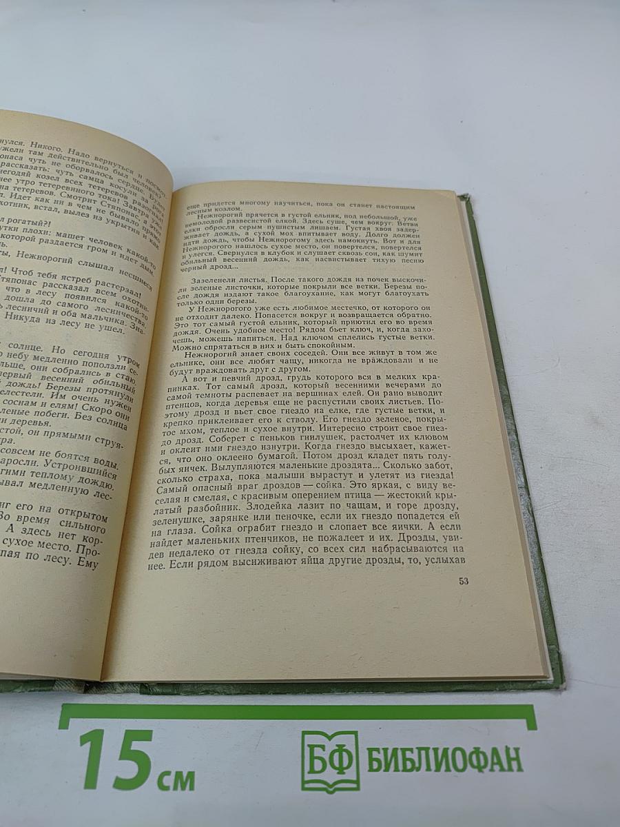 Нежнорогий возвращается в лес