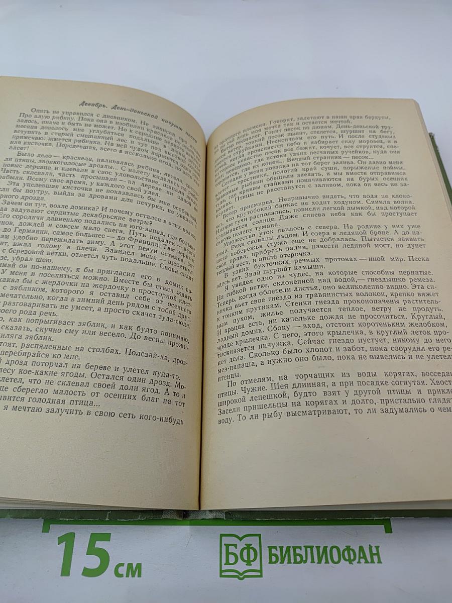 Нежнорогий возвращается в лес