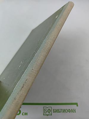 Нежнорогий возвращается в лес