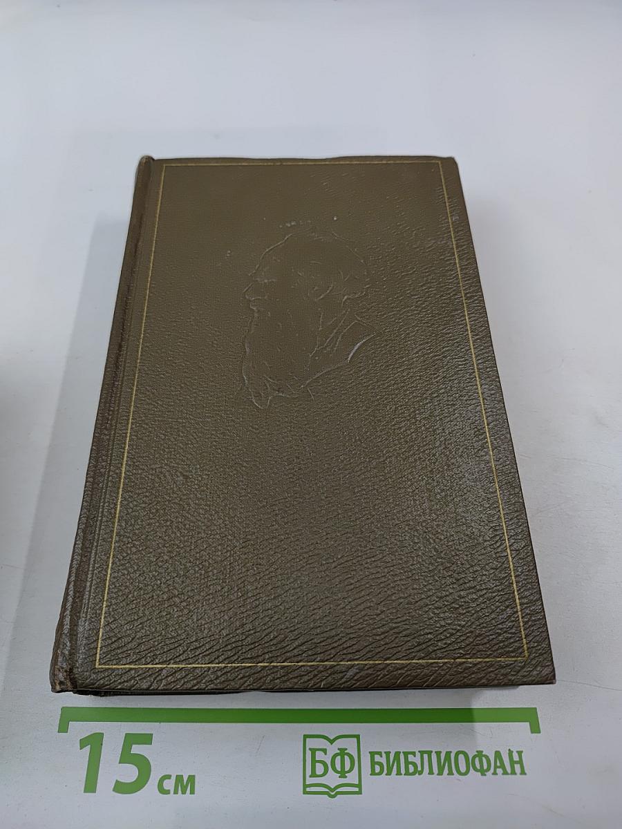 Собрание сочинений. Том десятый: Повести и рассказы 1872-1886 гг.