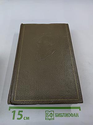 Собрание сочинений. Том десятый: Повести и рассказы 1872-1886 гг.