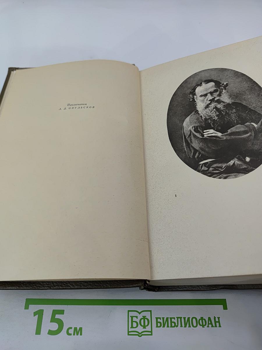 Собрание сочинений. Том десятый: Повести и рассказы 1872-1886 гг.