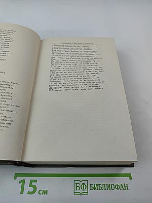 Собрание сочинений. Том десятый: Повести и рассказы 1872-1886 гг.