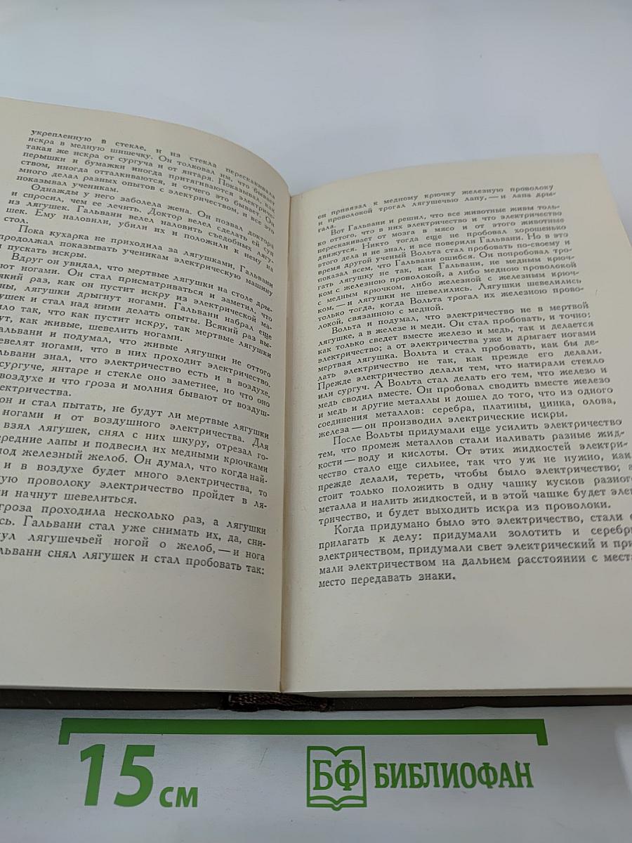 Собрание сочинений. Том десятый: Повести и рассказы 1872-1886 гг.