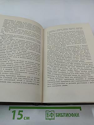 Собрание сочинений. Том десятый: Повести и рассказы 1872-1886 гг.