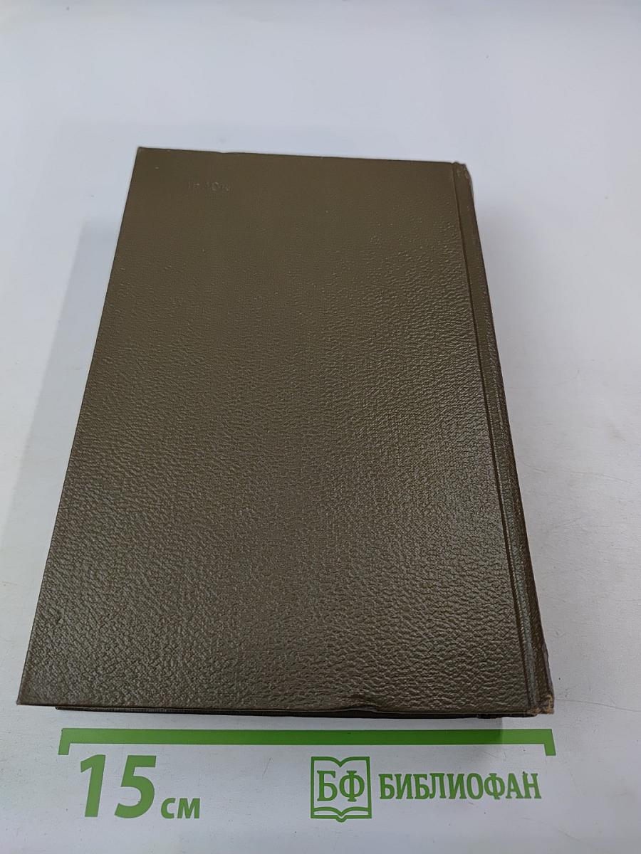 Собрание сочинений. Том десятый: Повести и рассказы 1872-1886 гг.