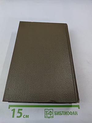 Собрание сочинений. Том десятый: Повести и рассказы 1872-1886 гг.