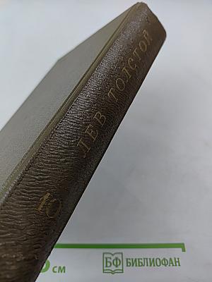Собрание сочинений. Том десятый: Повести и рассказы 1872-1886 гг.