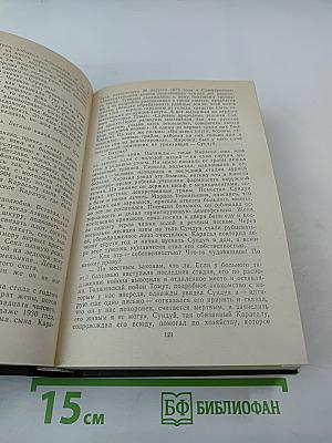 Память. Роман-эссе. Книга вторая