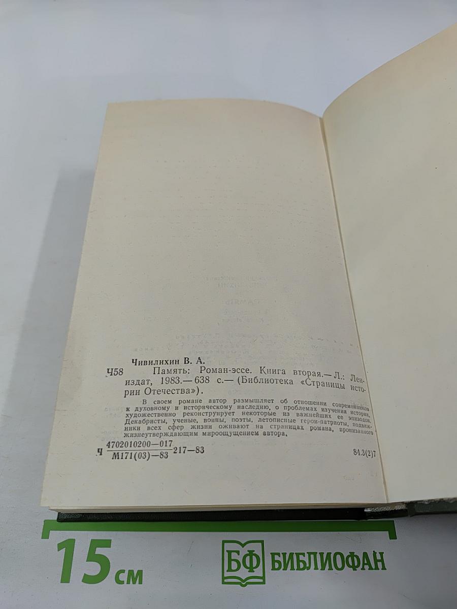 Память. Роман-эссе. Книга вторая