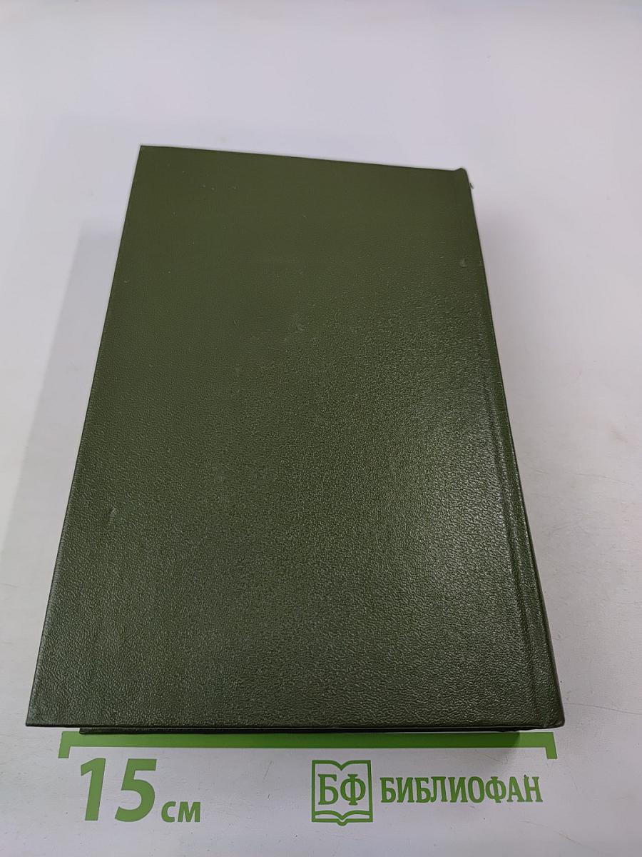 Память. Роман-эссе. Книга вторая