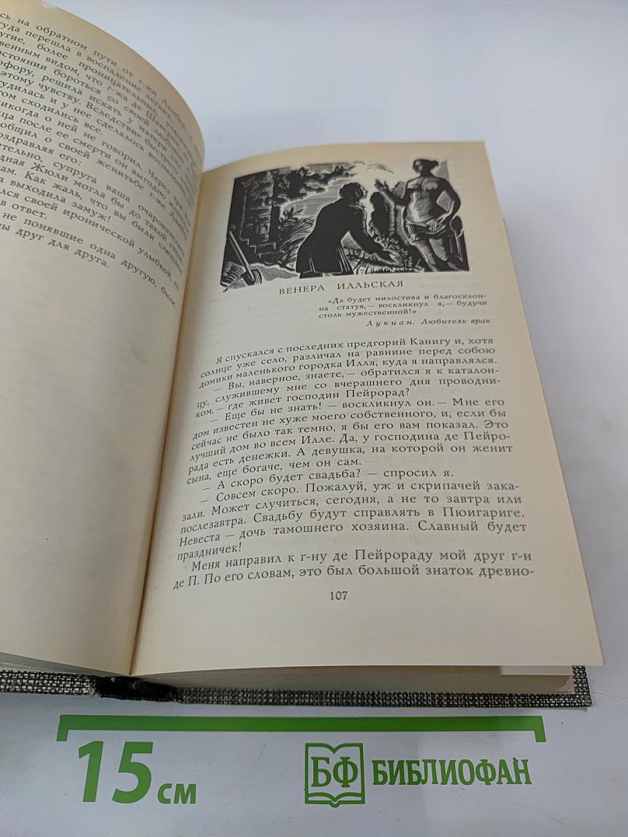 Избранное: Новеллы, Хроника царствования Карла IX