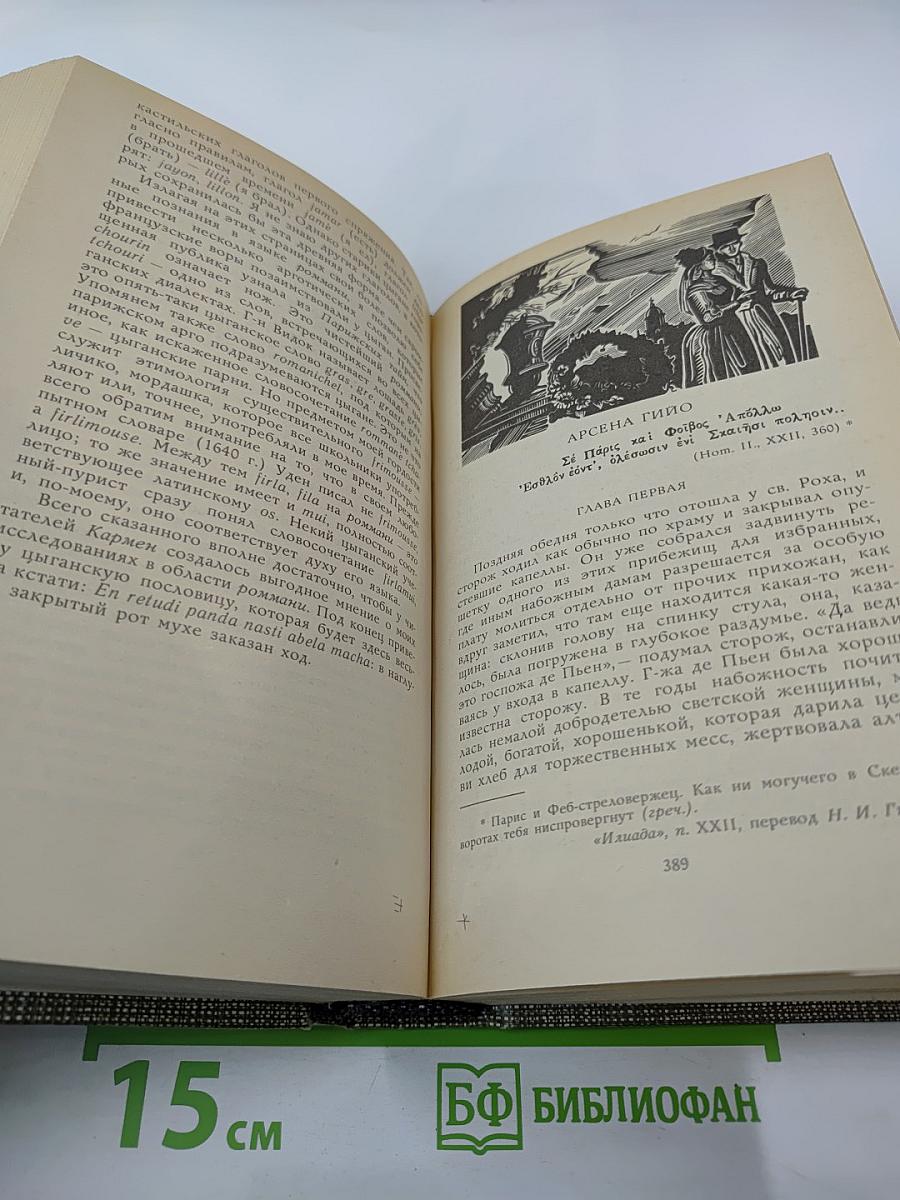 Избранное: Новеллы, Хроника царствования Карла IX