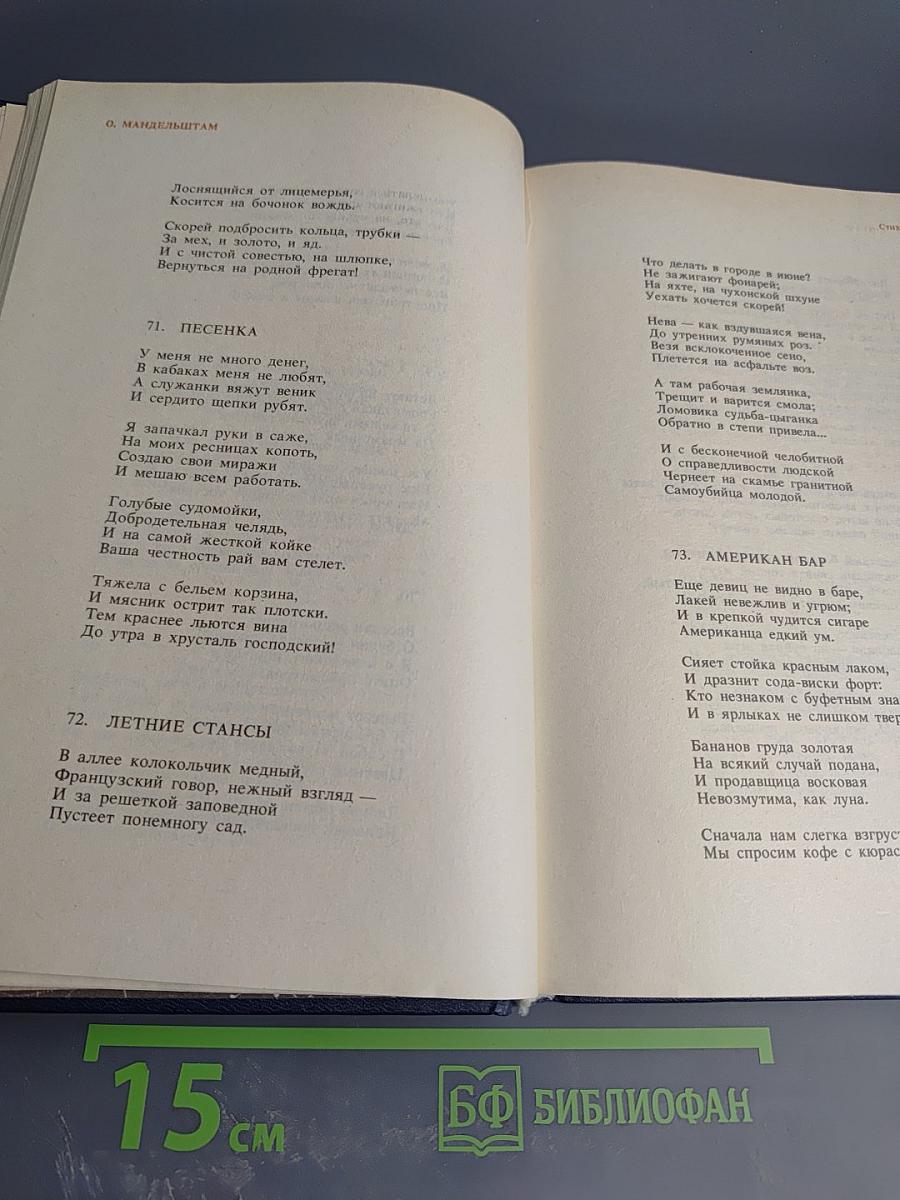 Осип Мандельштам. Стихотворения, переводы, очерки, статьи