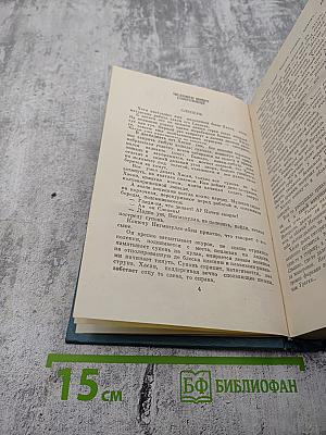 Человек ищет сокровище