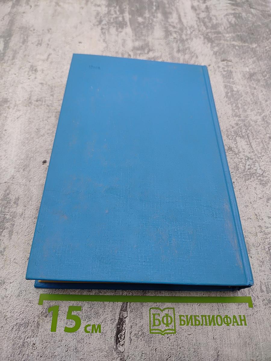 Петр Великий. Воспитание. Личность. Книга вторая