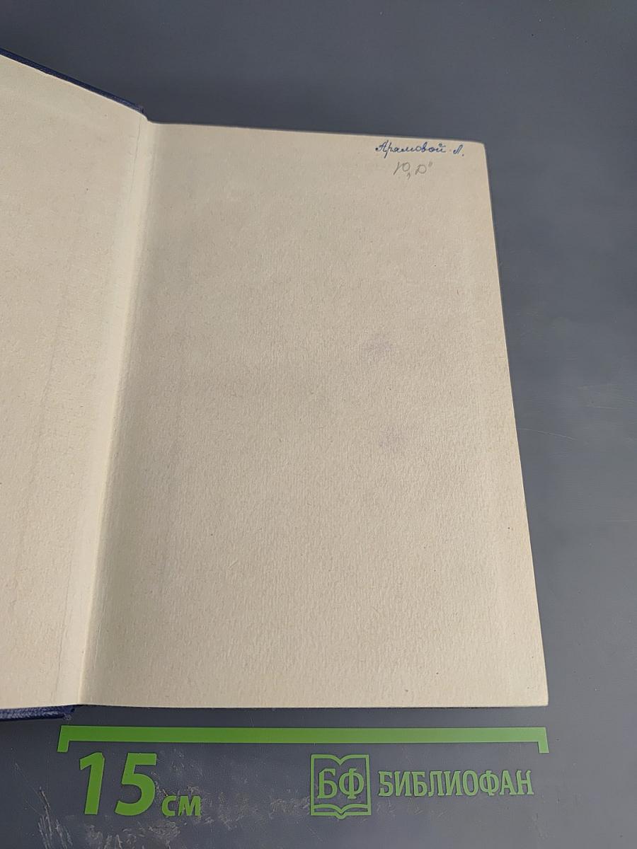 Мертвые души. Поэма. Том пятый