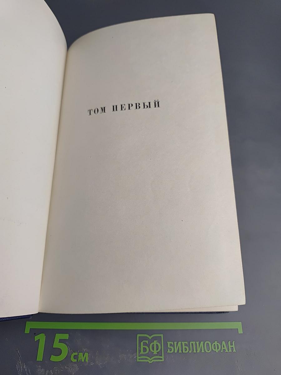 Мертвые души. Поэма. Том пятый