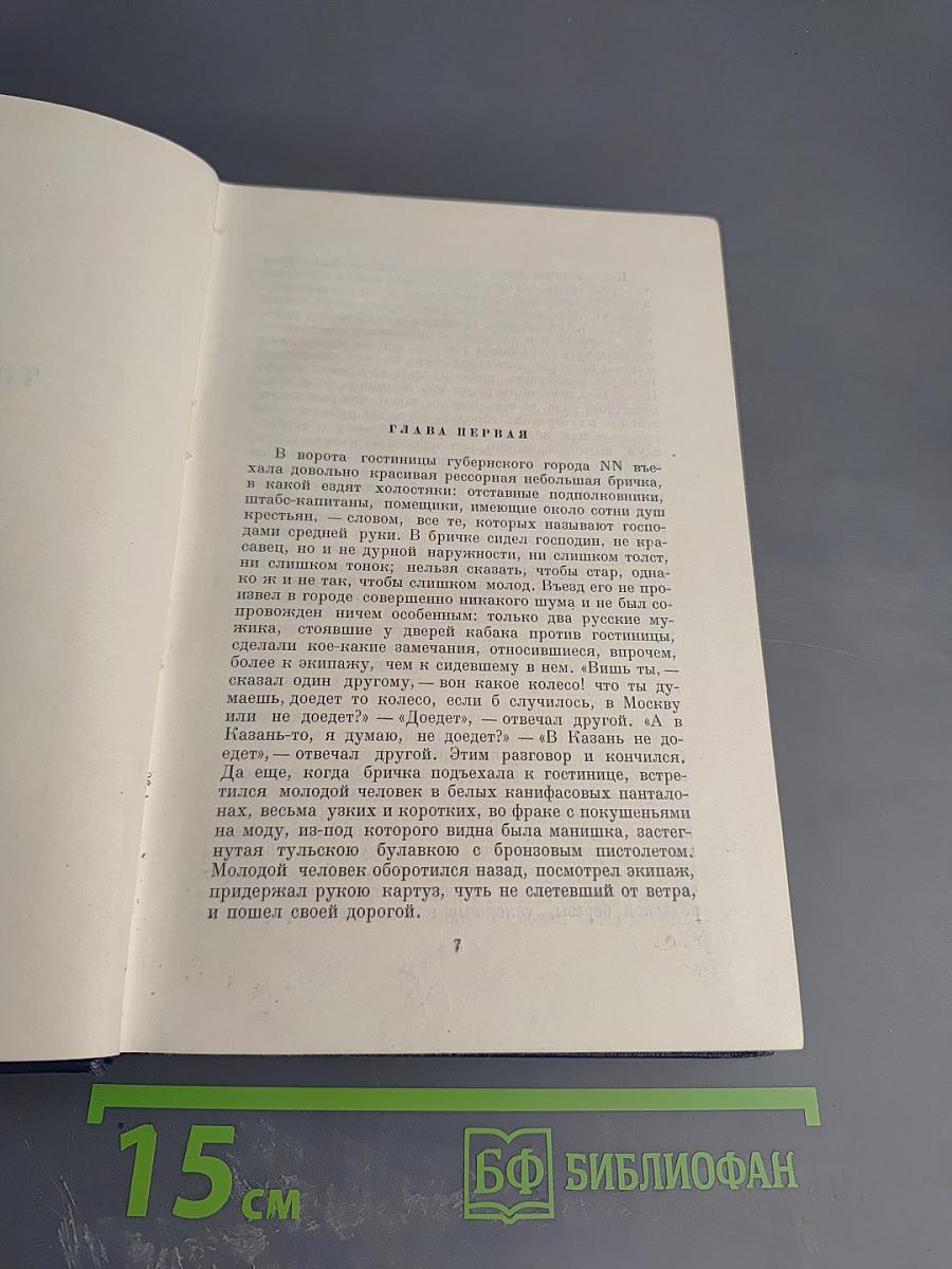 Мертвые души. Поэма. Том пятый