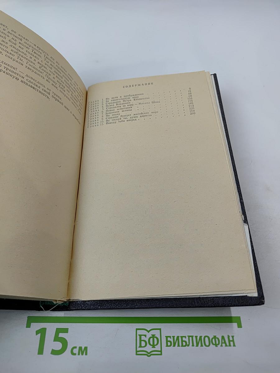 Счастье потерянной жизни. Трилогия, Книга 2
