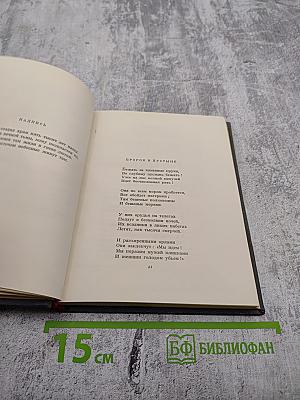 Из зарубежных поэтов