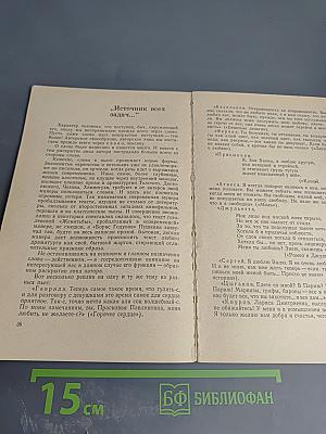 Лицо автора в спектакле