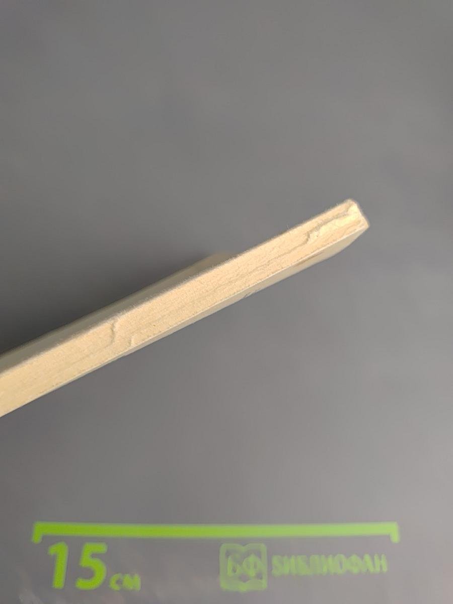 Лицо автора в спектакле